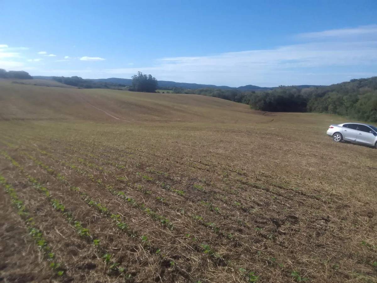 Imagem de Área Rural no 3º Distrito