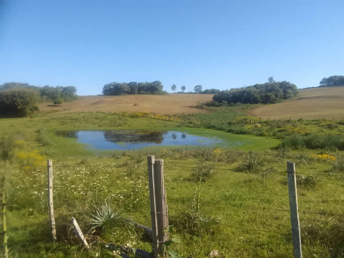 Imagem de Área Rural no 3º Distrito