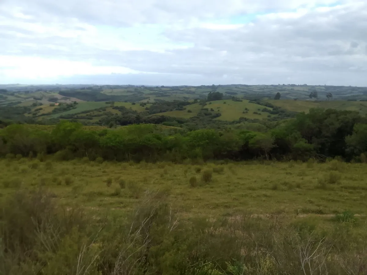 Imagem de Campo em Canguçu