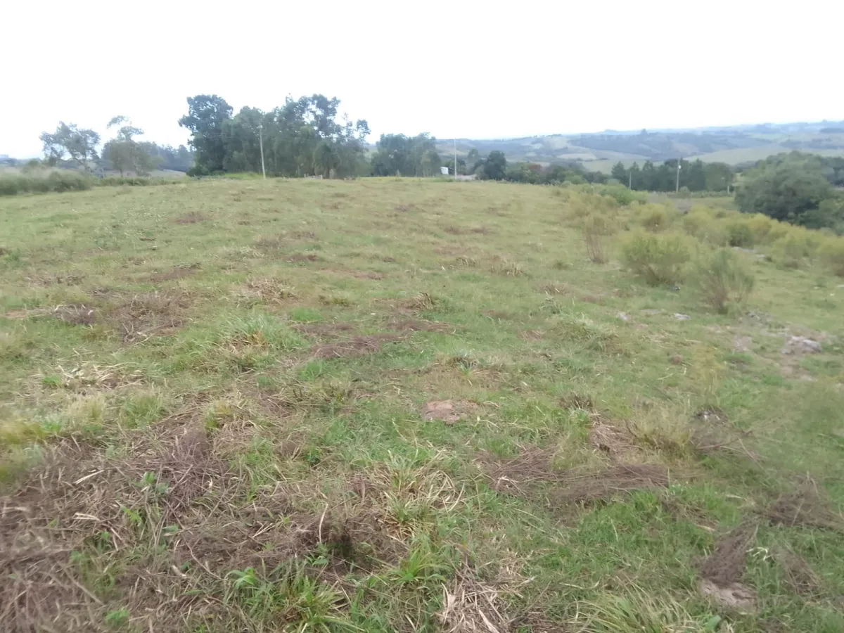 Imagem de Campo em Canguçu