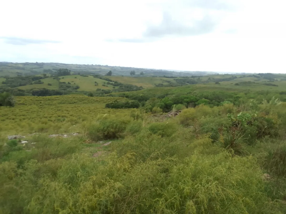 Imagem de Campo em Canguçu