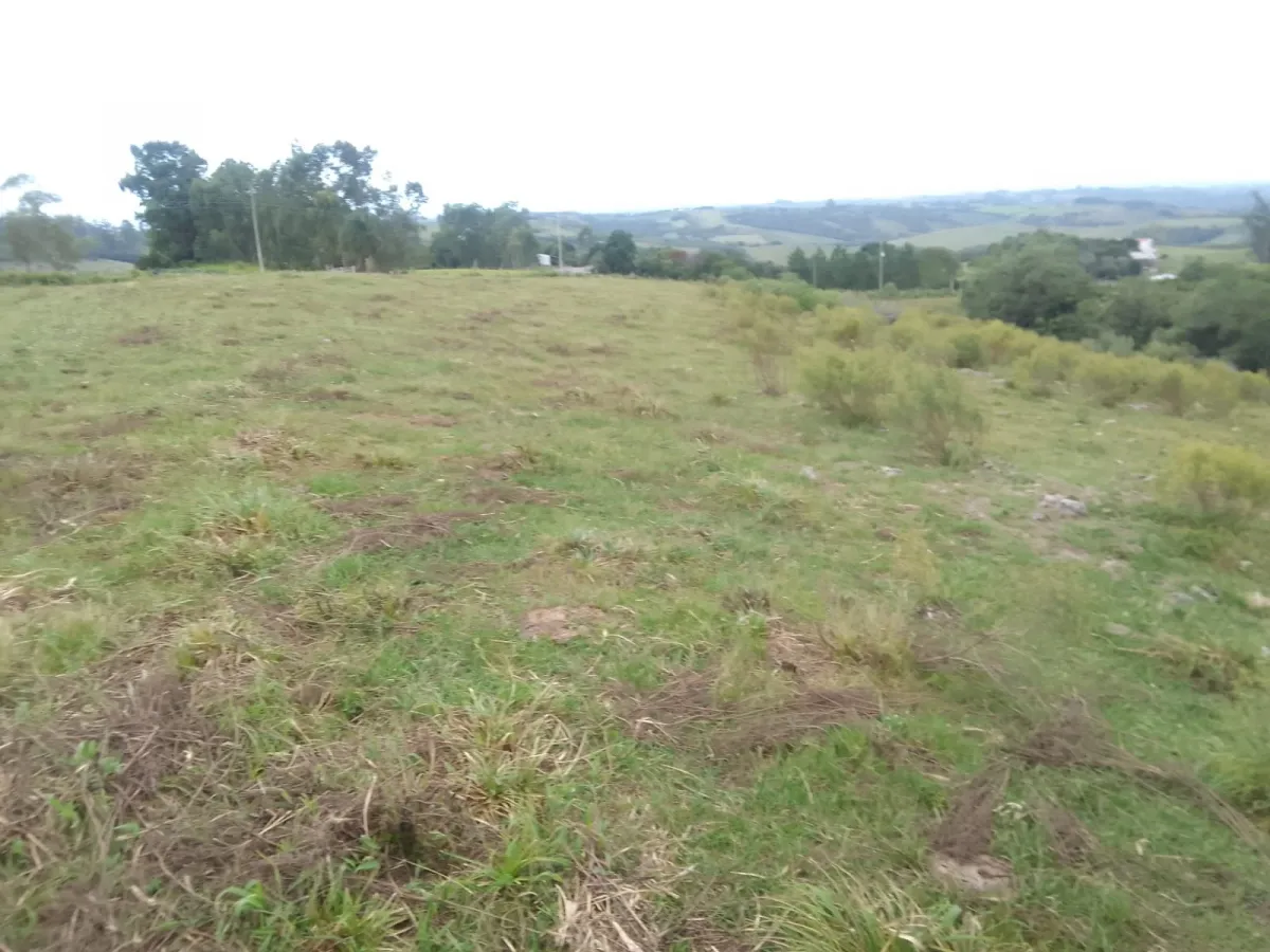 Imagem de Campo em Canguçu