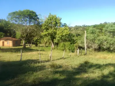Imagem de Campo em Canguçu
