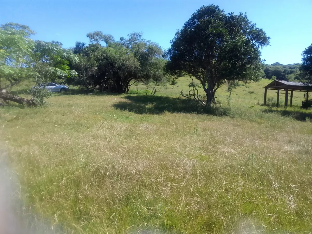 Imagem de Campo em Canguçu