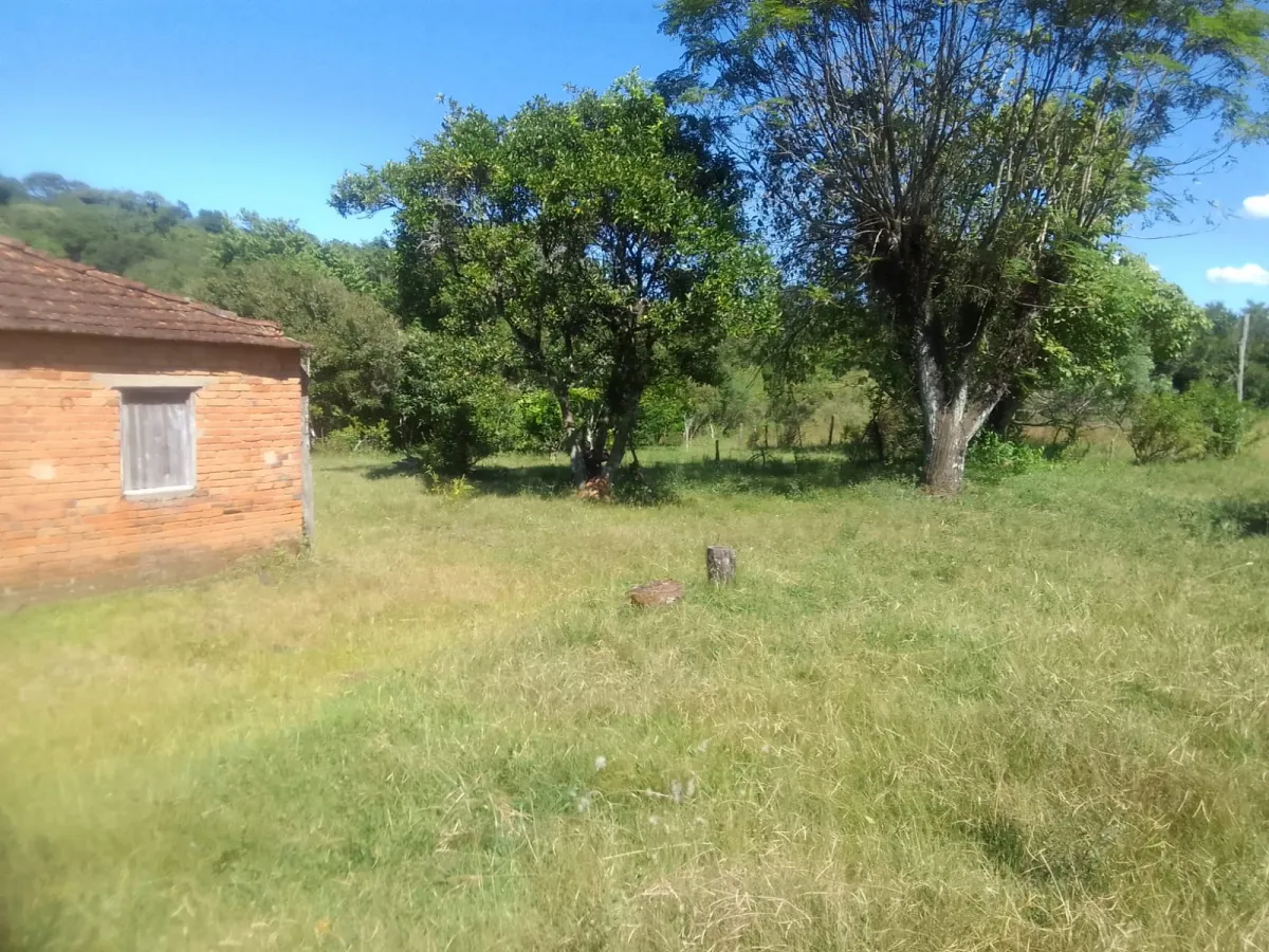 Imagem de Campo em Canguçu