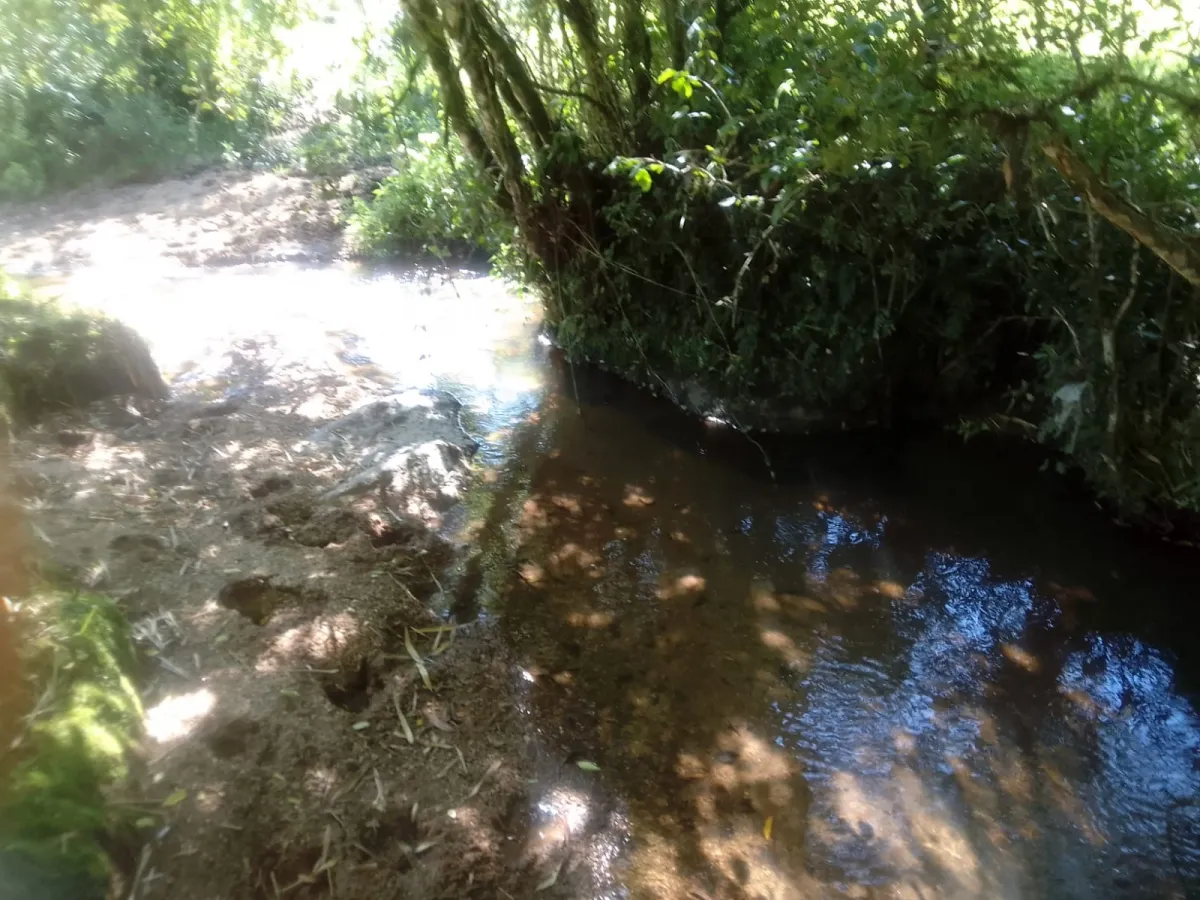 Imagem de Campo em Canguçu