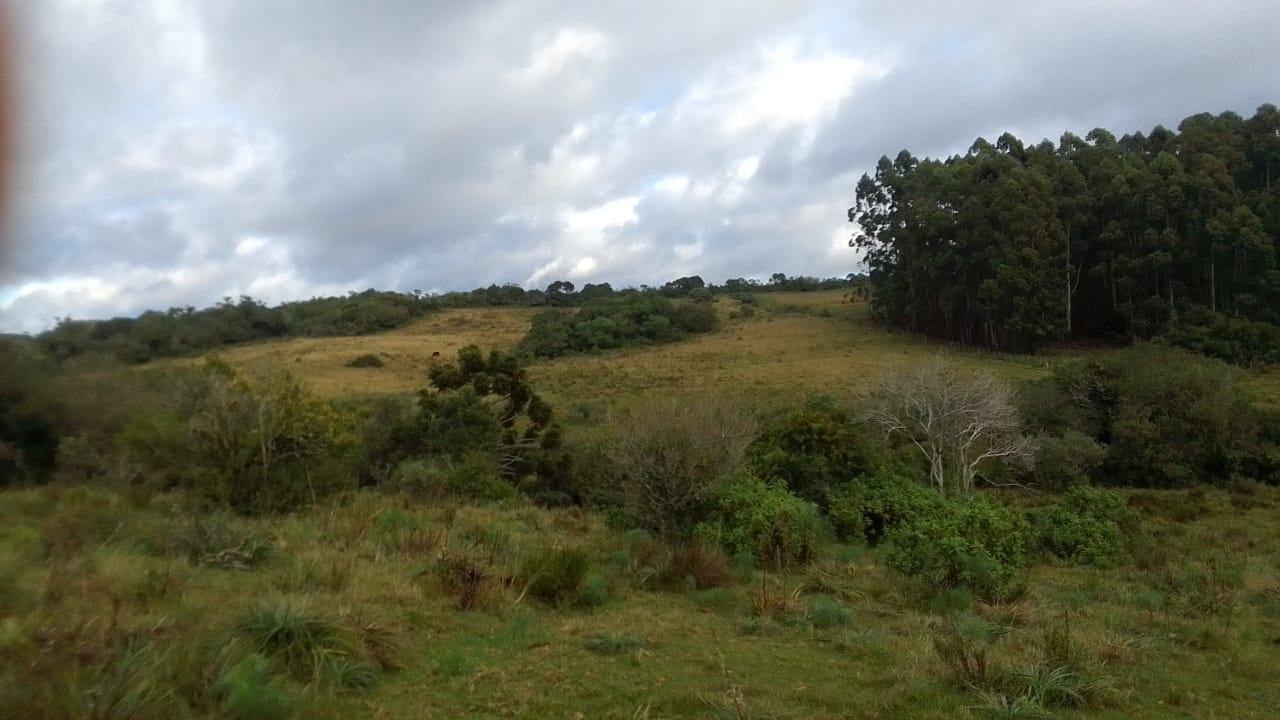 Imagem de Campo de 10 Hectares