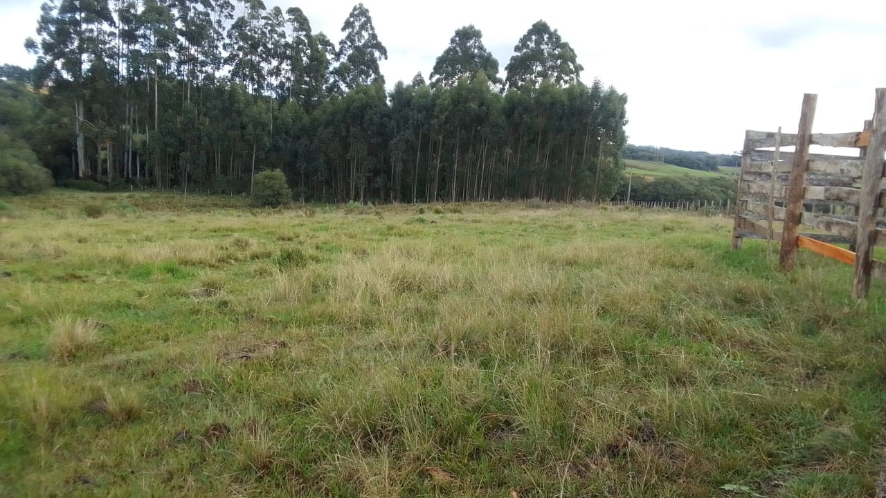 Imagem de Campo de 10 Hectares