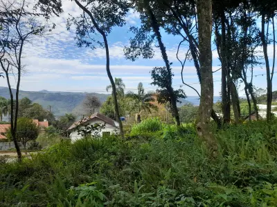 Imagem de Excelente e amplo terreno na Vila Olinda
