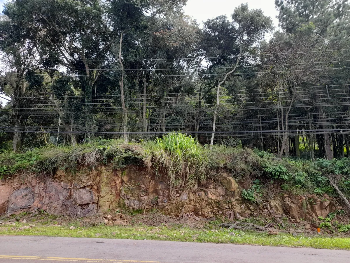 Imagem de Excelente e amplo terreno na Vila Olinda