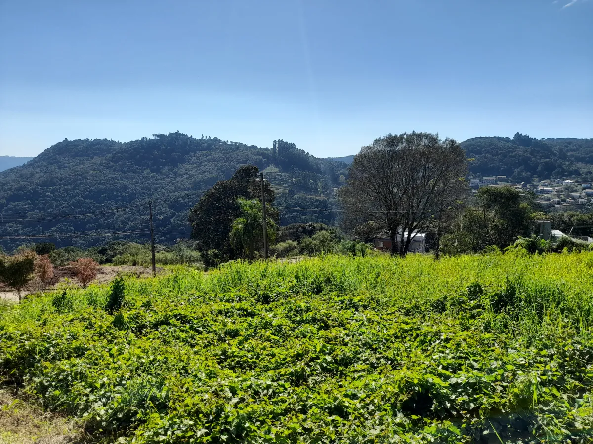 Imagem de Terreno Rua Waldir Konrath Pousada da Neve lote 4f