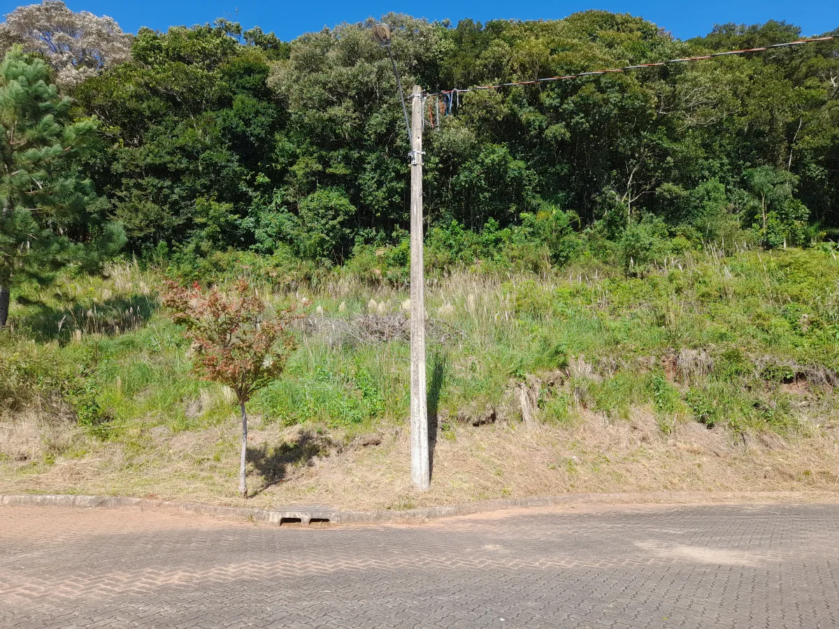 Imagem de Terreno Rua Waldir Konrath Pousada da Neve lote 5f