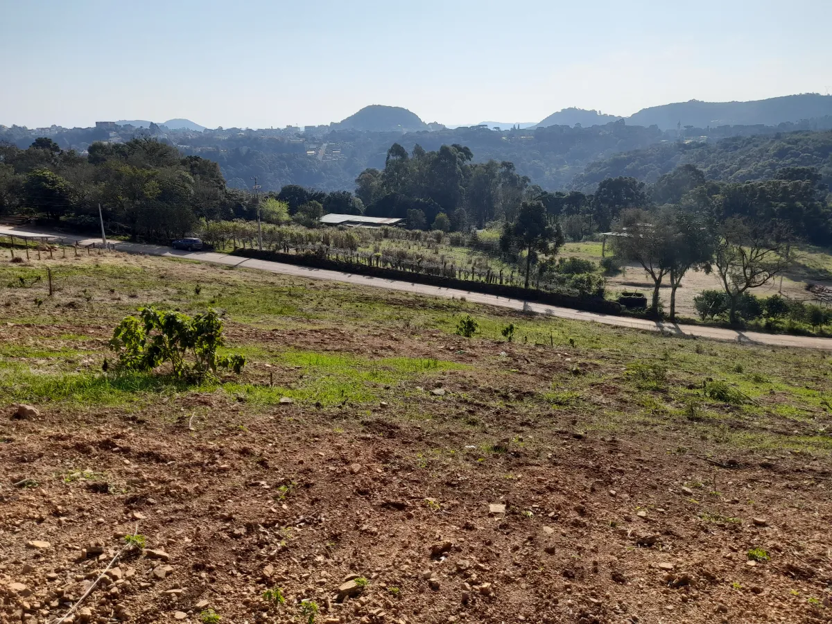 Imagem de Lote2 - Rua dos Ackermann