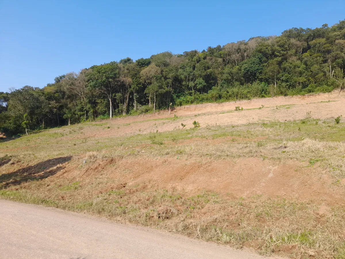 Imagem de Lote2 - Rua dos Ackermann