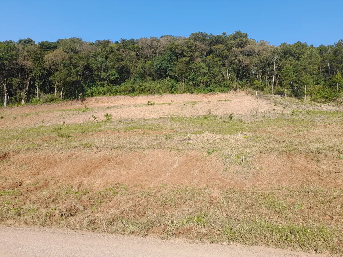 Imagem de Lote2 - Rua dos Ackermann
