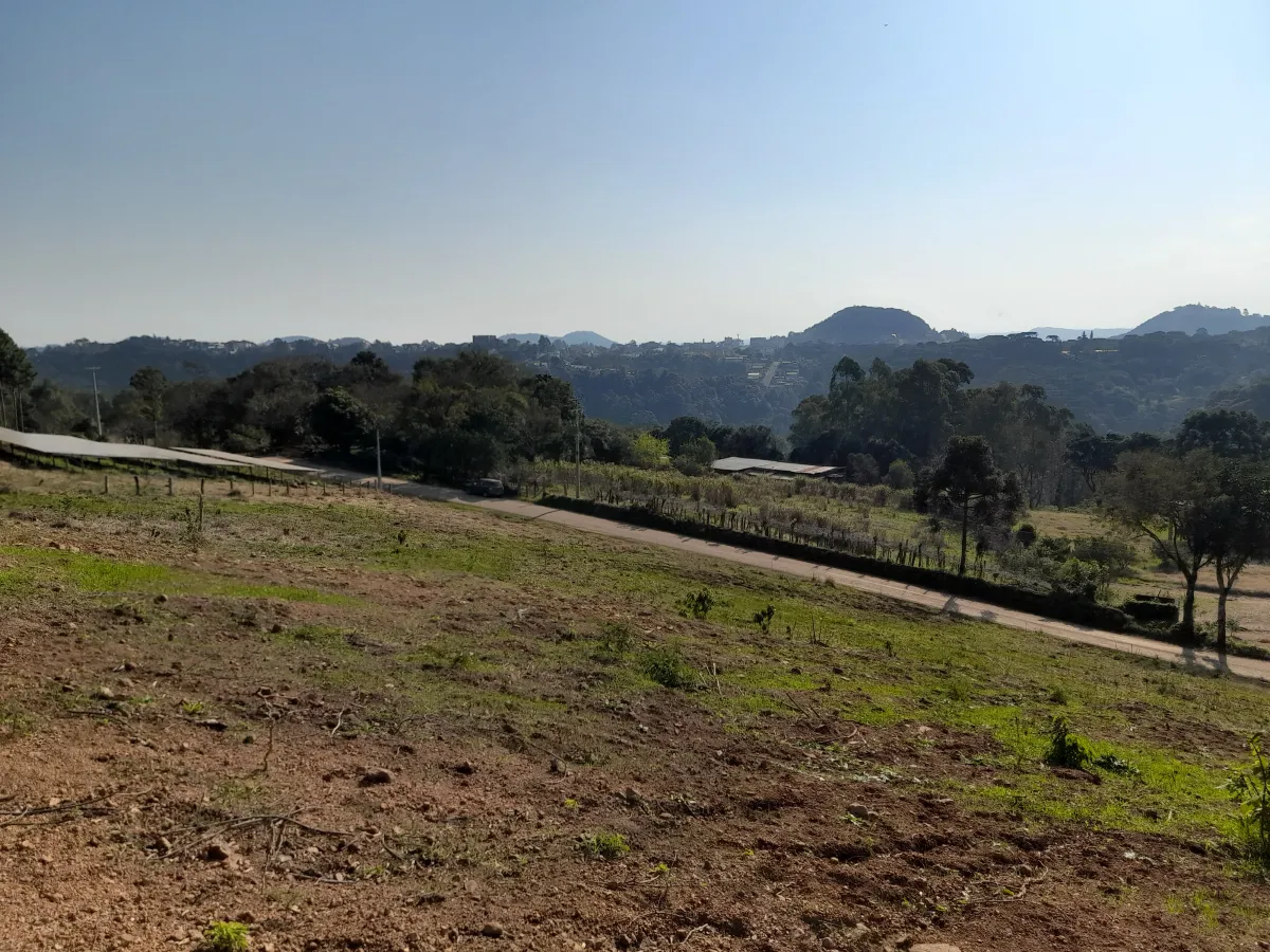 Imagem de Lote 3, Rua dos Ackermann