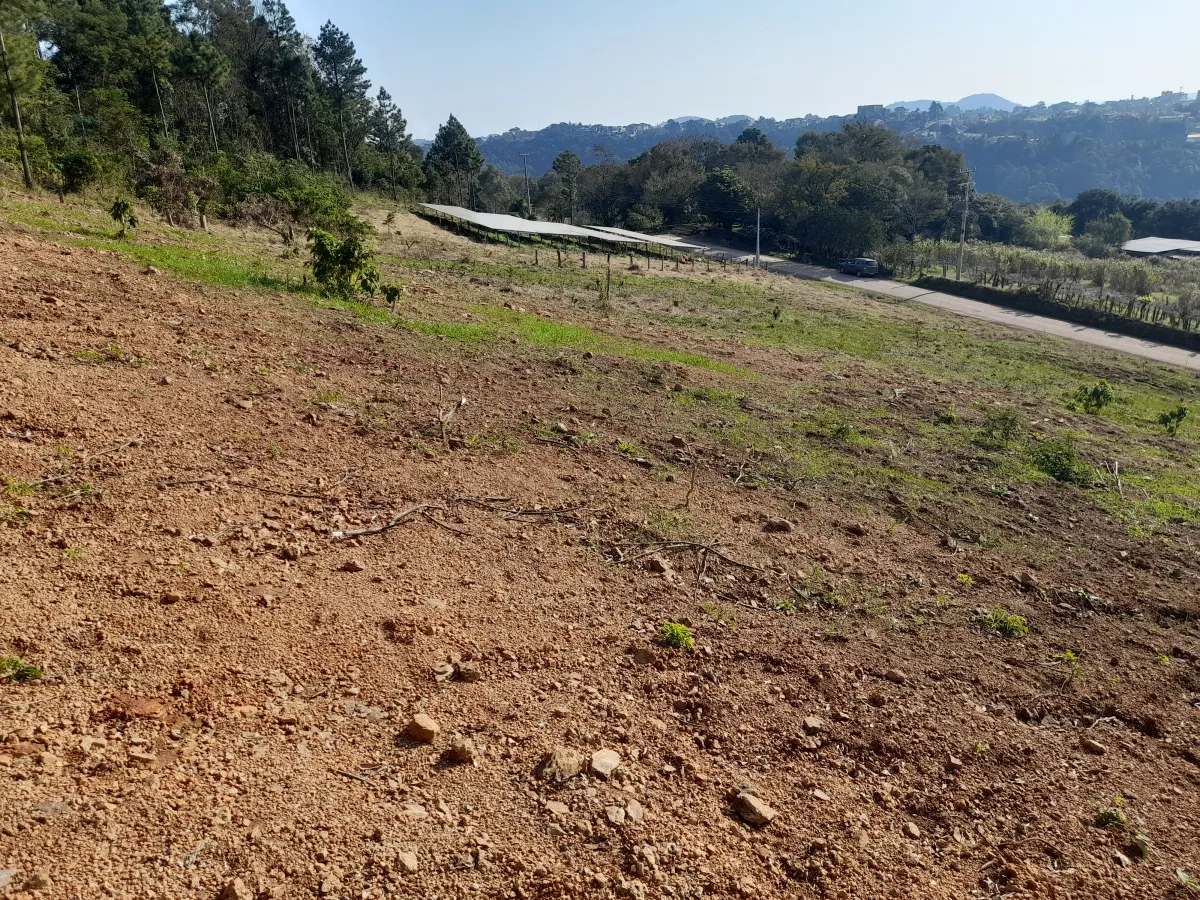 Imagem de Lote 05, Rua dos Ackermann