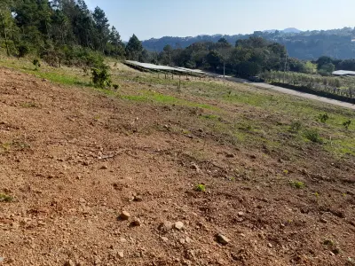 Imagem de Lote 05, Rua dos Ackermann