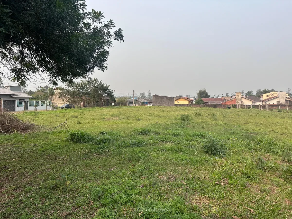 Imagem de Terreno em Araricá