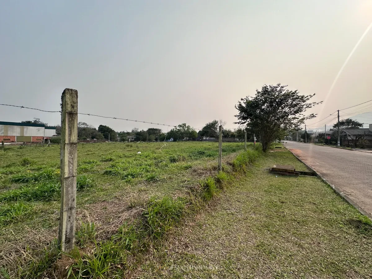 Imagem de Terreno em Araricá