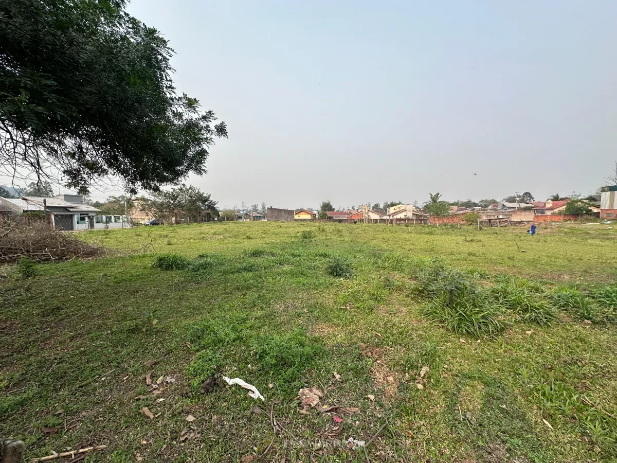 Imagem de Terreno em Araricá