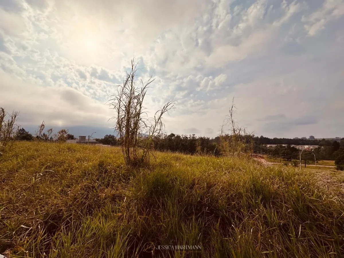 Imagem de Terreno em Sapiranga
