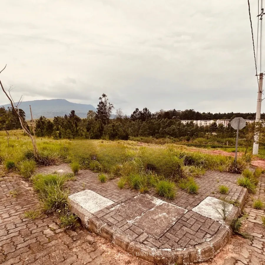 Imagem de Terreno em Sapiranga