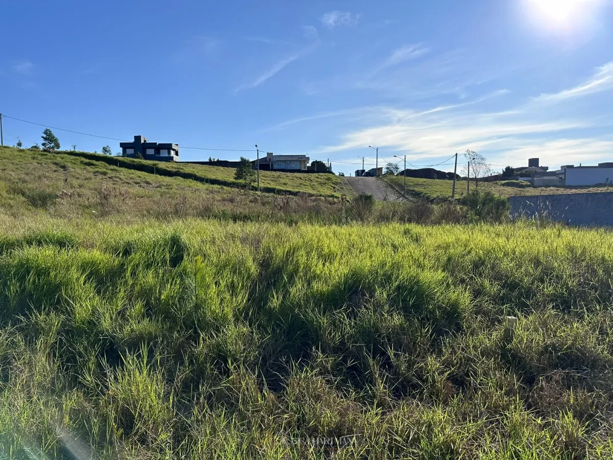 Imagem de Jardim Europa