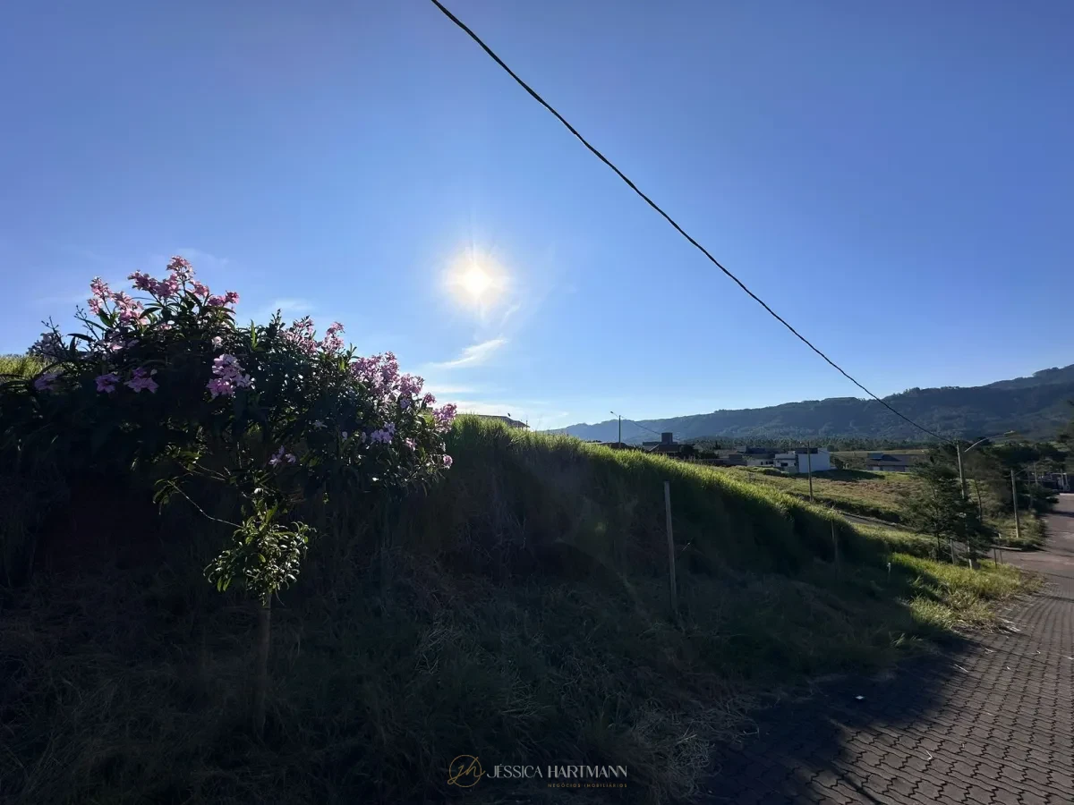 Imagem de Jardim Europa