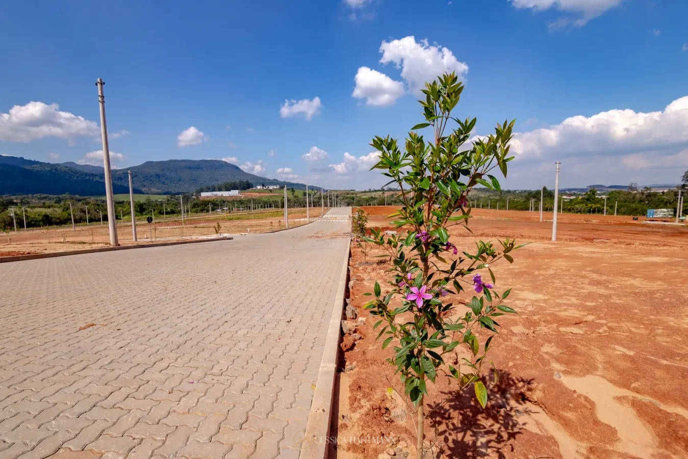 Imagem de Terreno Centenário Norte