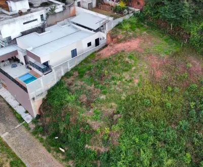 Imagem de Lote - Inconfidencia