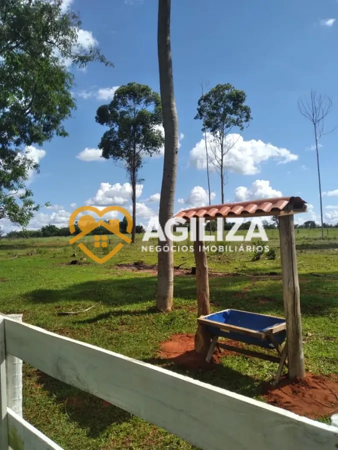 Imagem de Sítio com 9,4 Hectares a 27 km de Uberlândia – Aceita Troca por Casa!