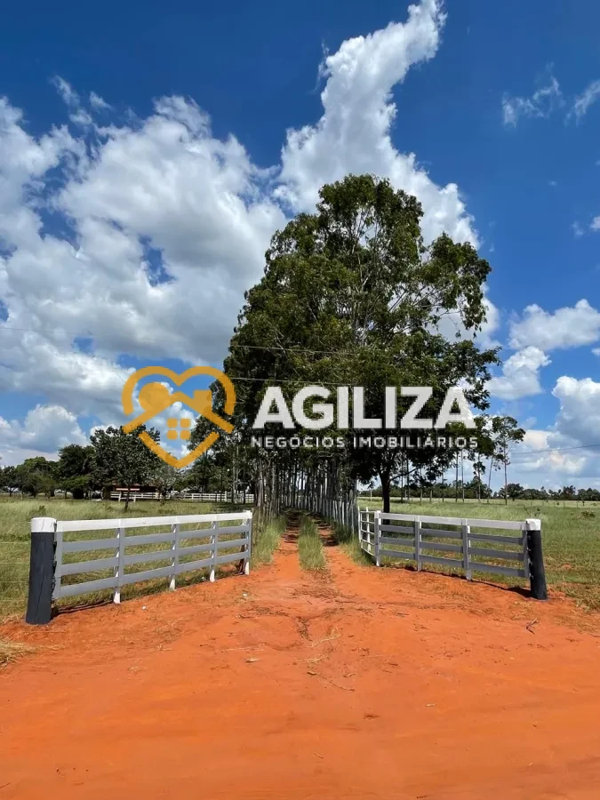 Imagem de Sítio com 9,4 Hectares a 27 km de Uberlândia – Aceita Troca por Casa!