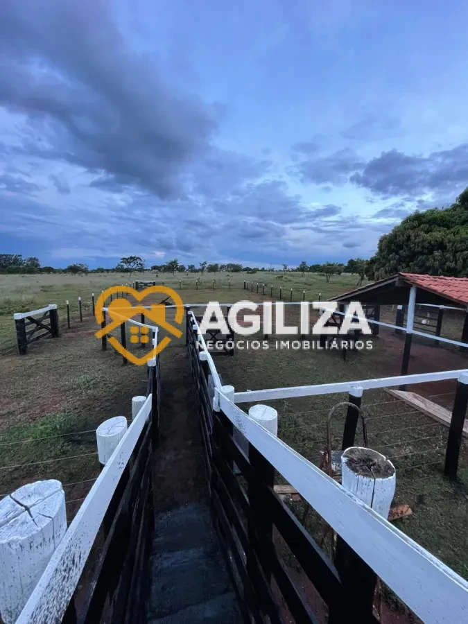 Imagem de Sítio com 9,4 Hectares a 27 km de Uberlândia – Aceita Troca por Casa!