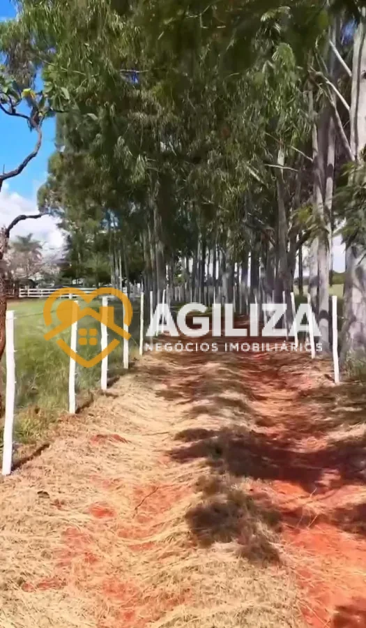Imagem de Sítio com 9,4 Hectares a 27 km de Uberlândia – Aceita Troca por Casa!