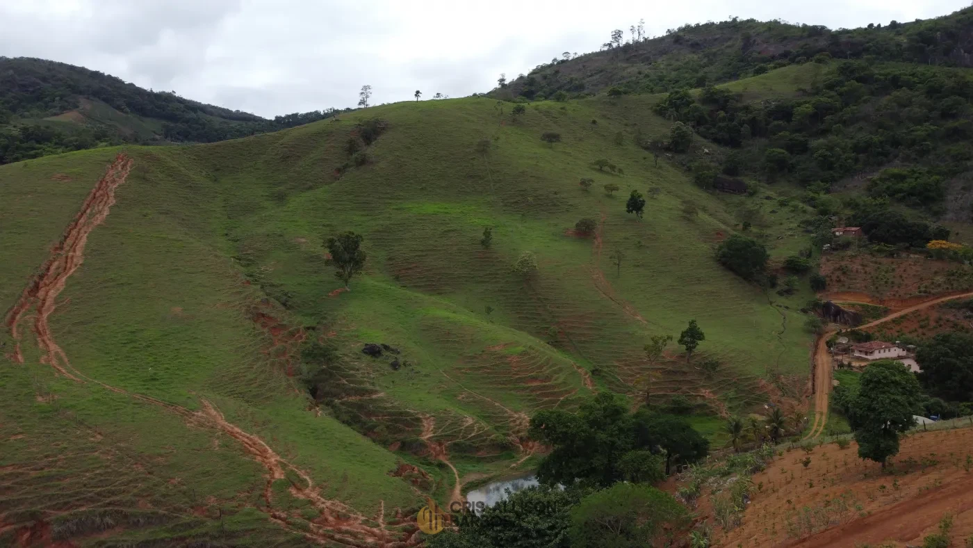 Imagem de Propriedade Rural Para criação de gado à Venda!