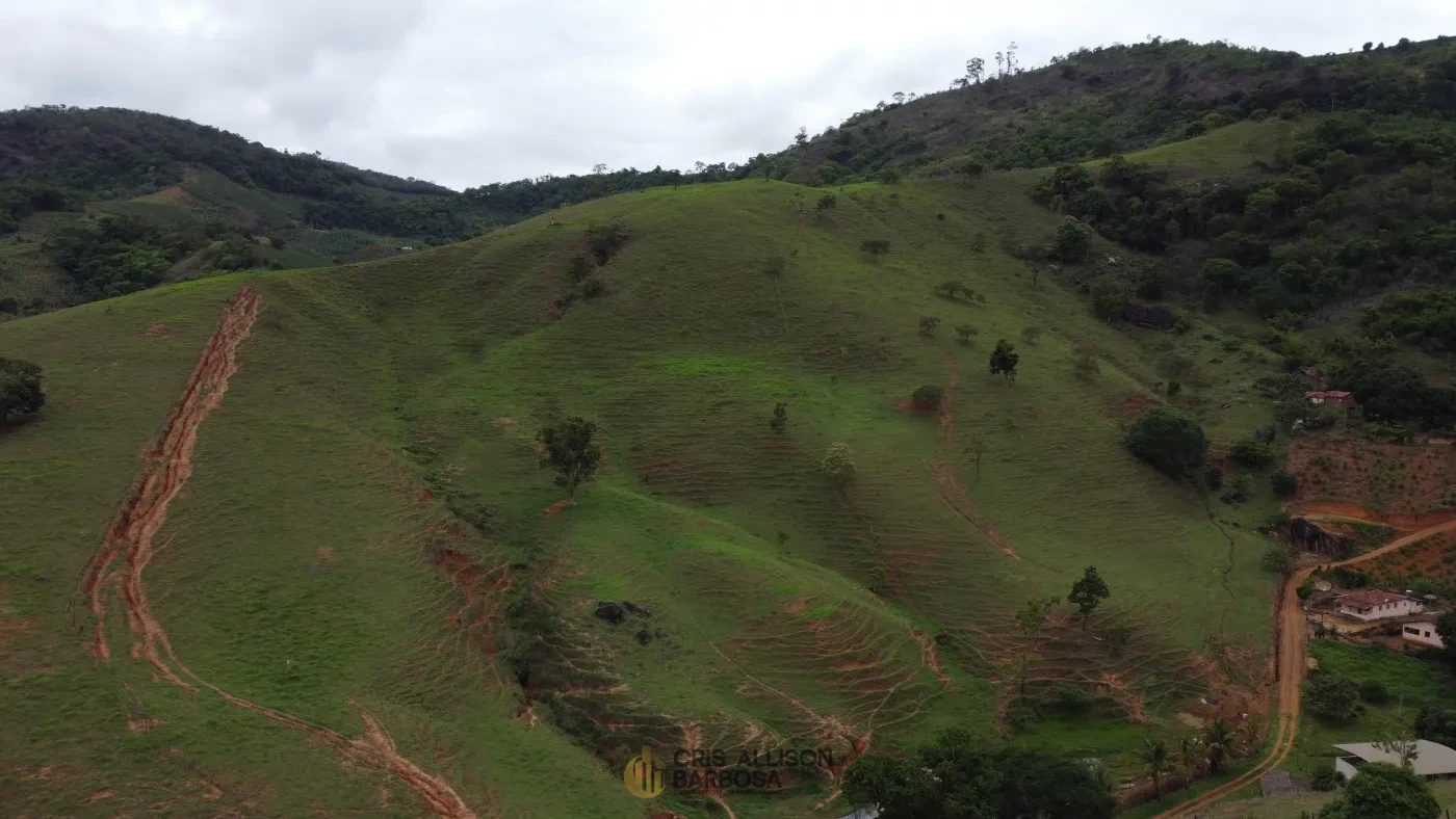 Imagem de Propriedade Rural Para criação de gado à Venda!