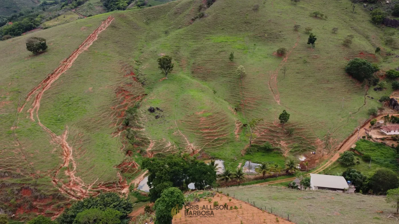Imagem de Propriedade Rural Para criação de gado à Venda!