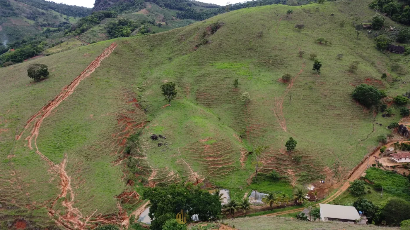 Imagem de Propriedade Rural Para criação de gado à Venda!