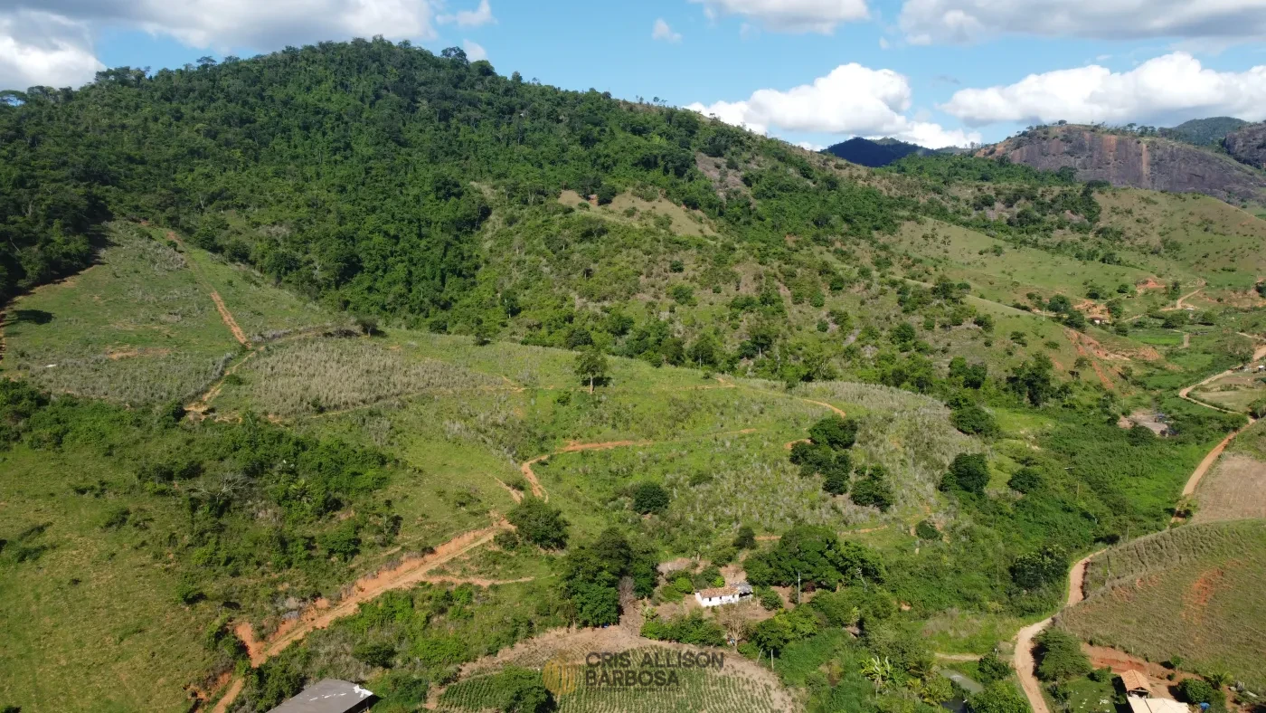 Imagem de Terreno de 06 alqueires e ½ em Inhapim – Perfeito para Expansão Rural !