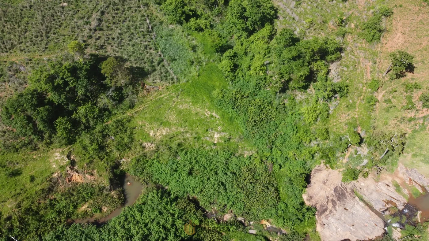 Imagem de Terreno de 06 alqueires e ½ em Inhapim – Perfeito para Expansão Rural !