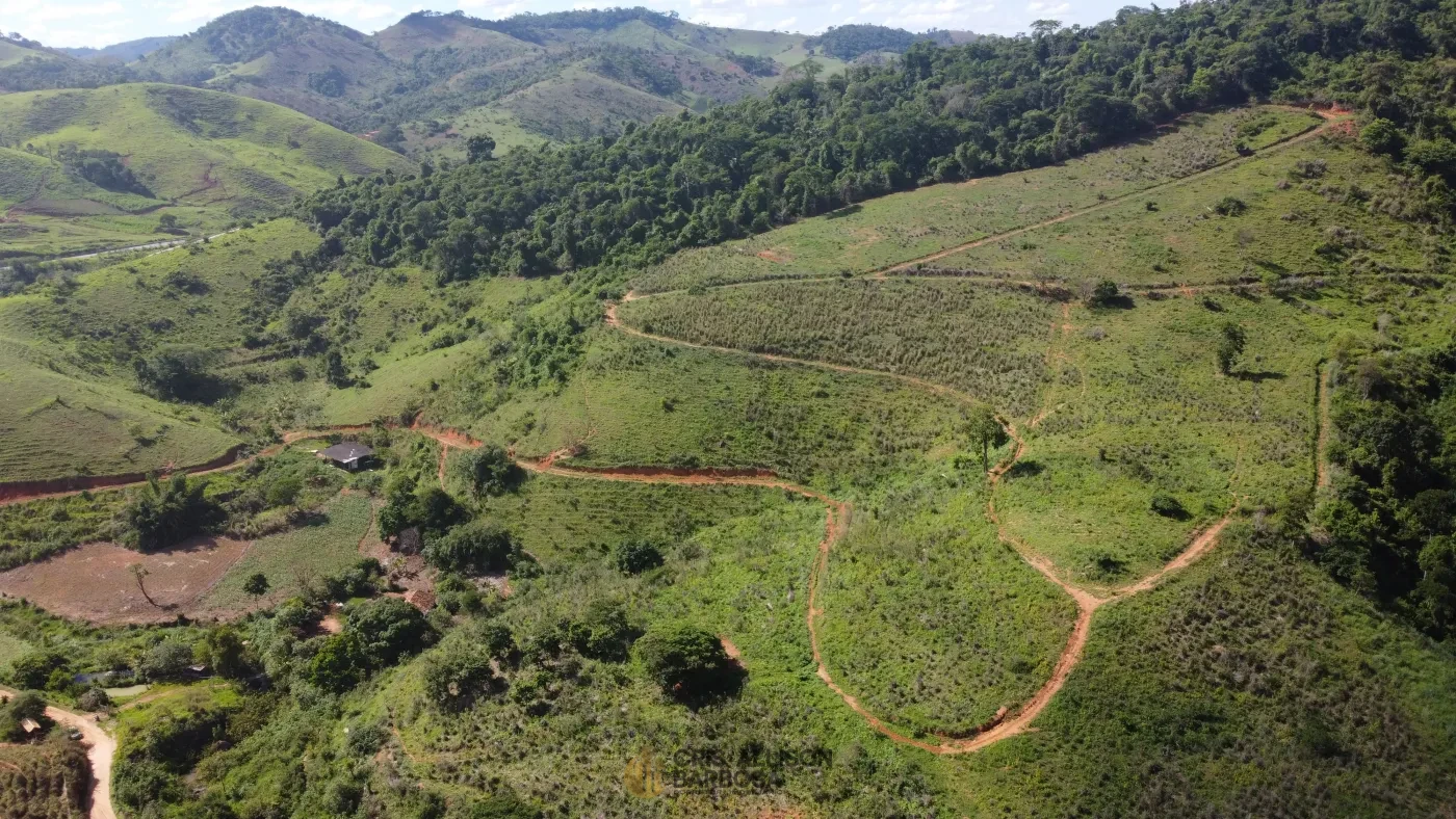 Imagem de Terreno de 06 alqueires e ½ em Inhapim – Perfeito para Expansão Rural !