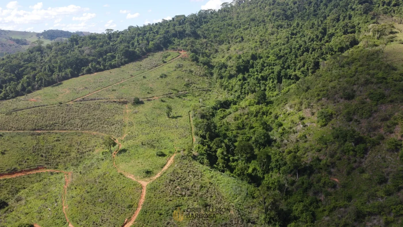 Imagem de Terreno de 06 alqueires e ½ em Inhapim – Perfeito para Expansão Rural !