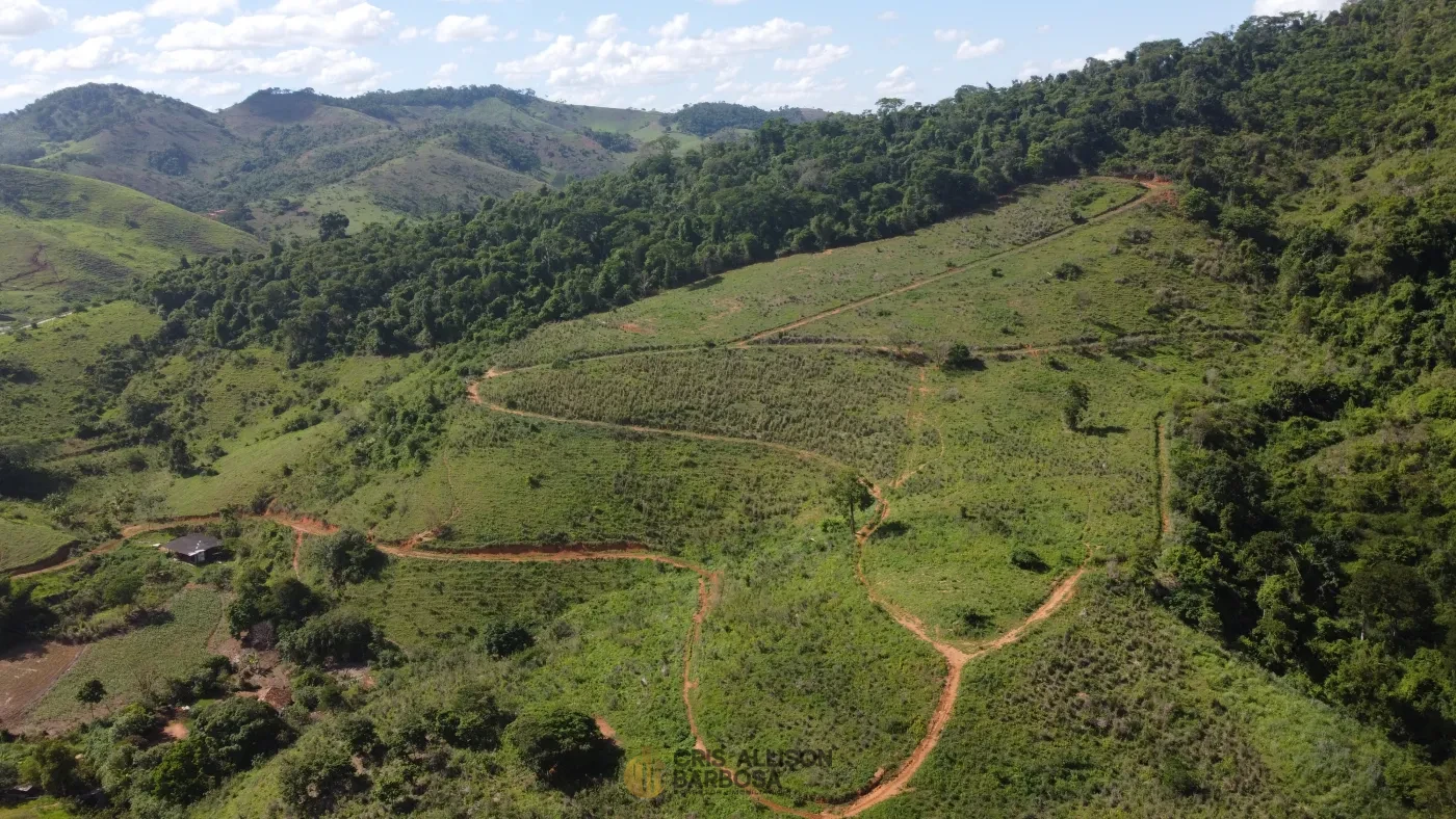 Imagem de Terreno de 06 alqueires e ½ em Inhapim – Perfeito para Expansão Rural !