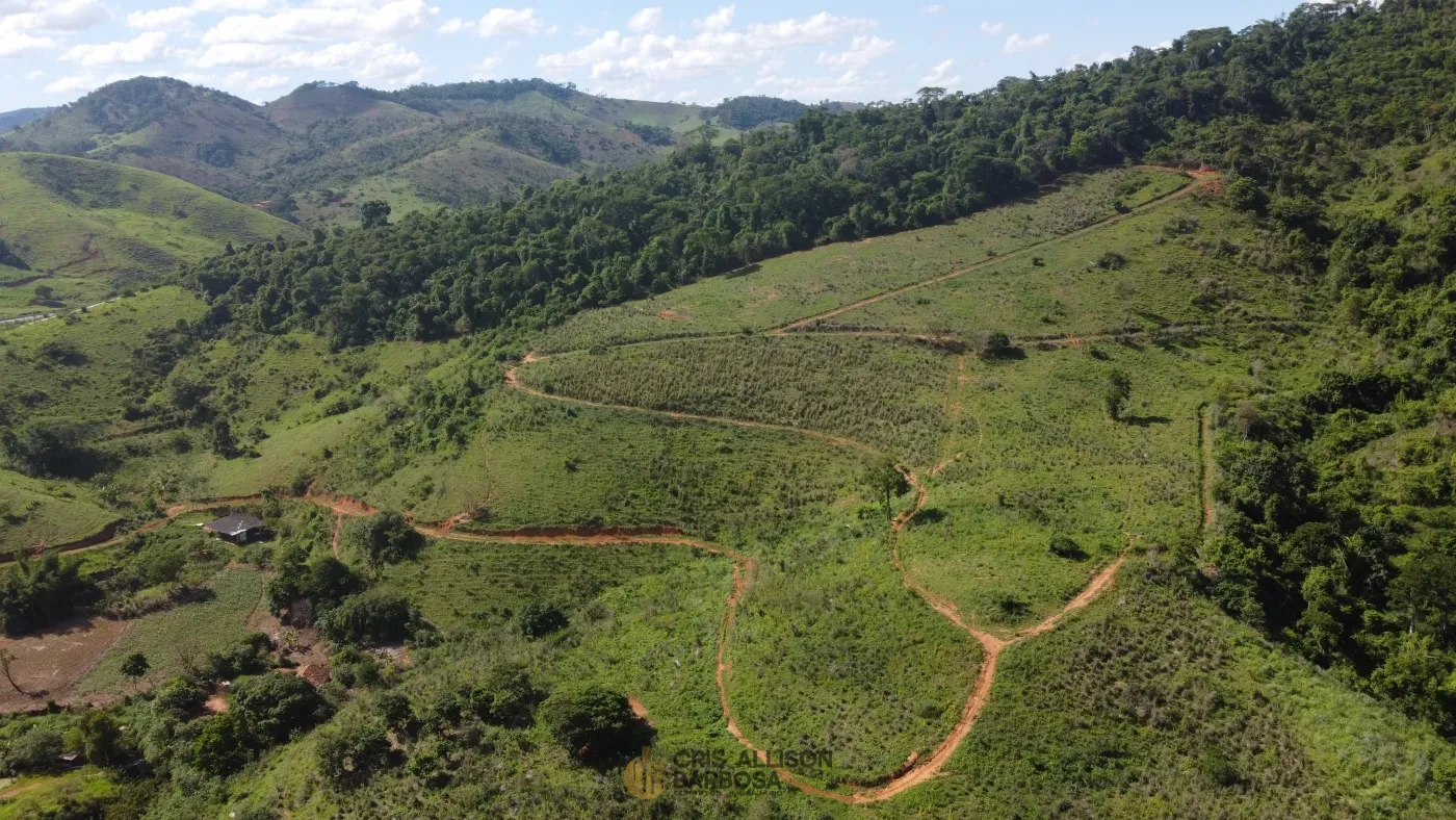 Imagem de Terreno de 06 alqueires e ½ em Inhapim – Perfeito para Expansão Rural !