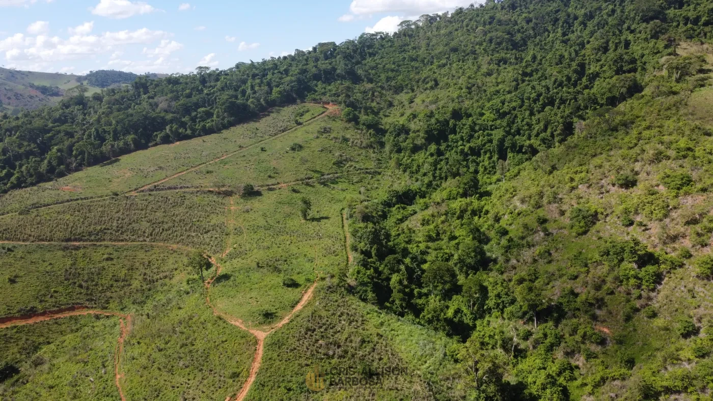 Imagem de Terreno de 06 alqueires e ½ em Inhapim – Perfeito para Expansão Rural !