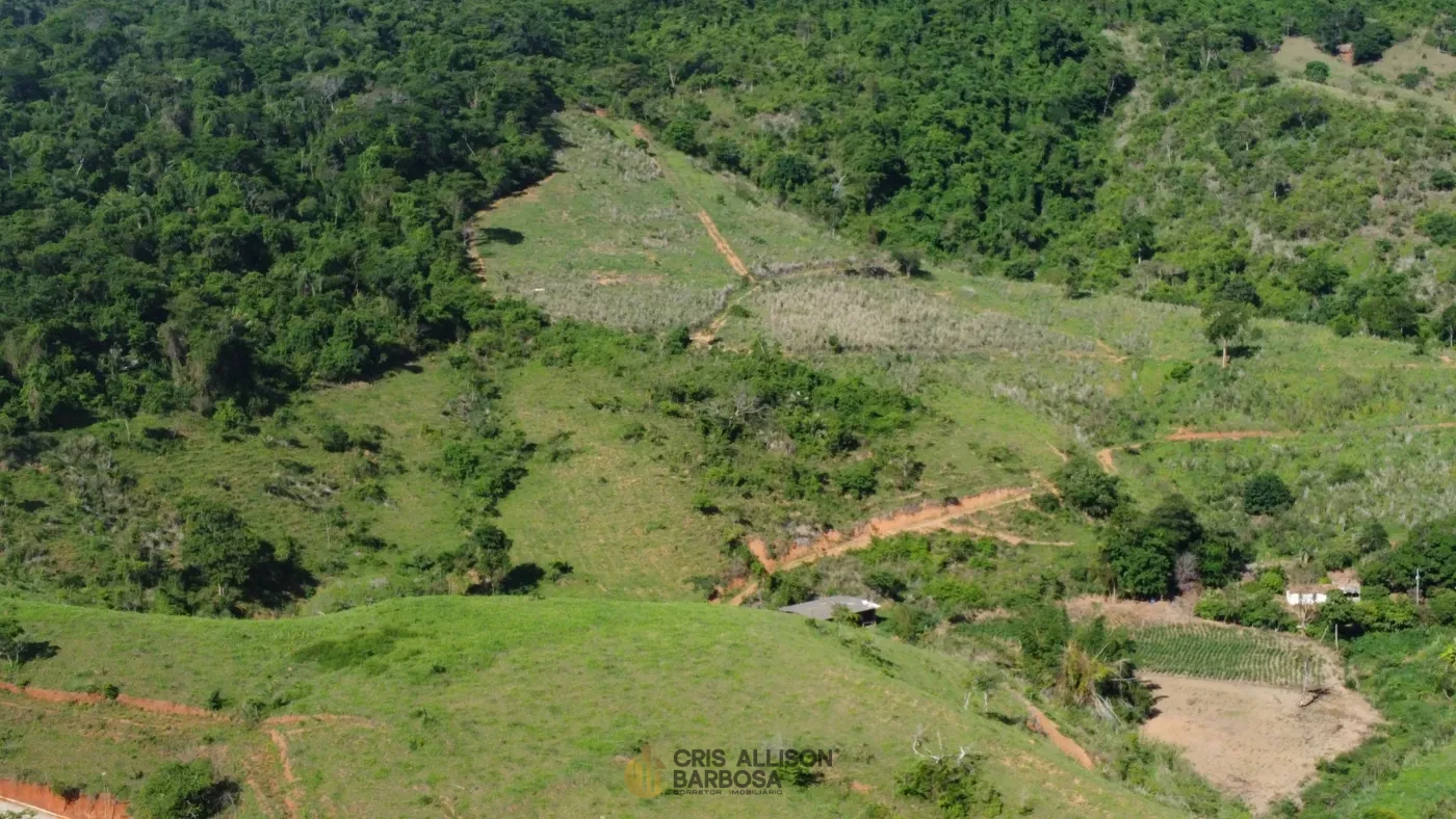 Imagem de Terreno de 06 alqueires e ½ em Inhapim – Perfeito para Expansão Rural !