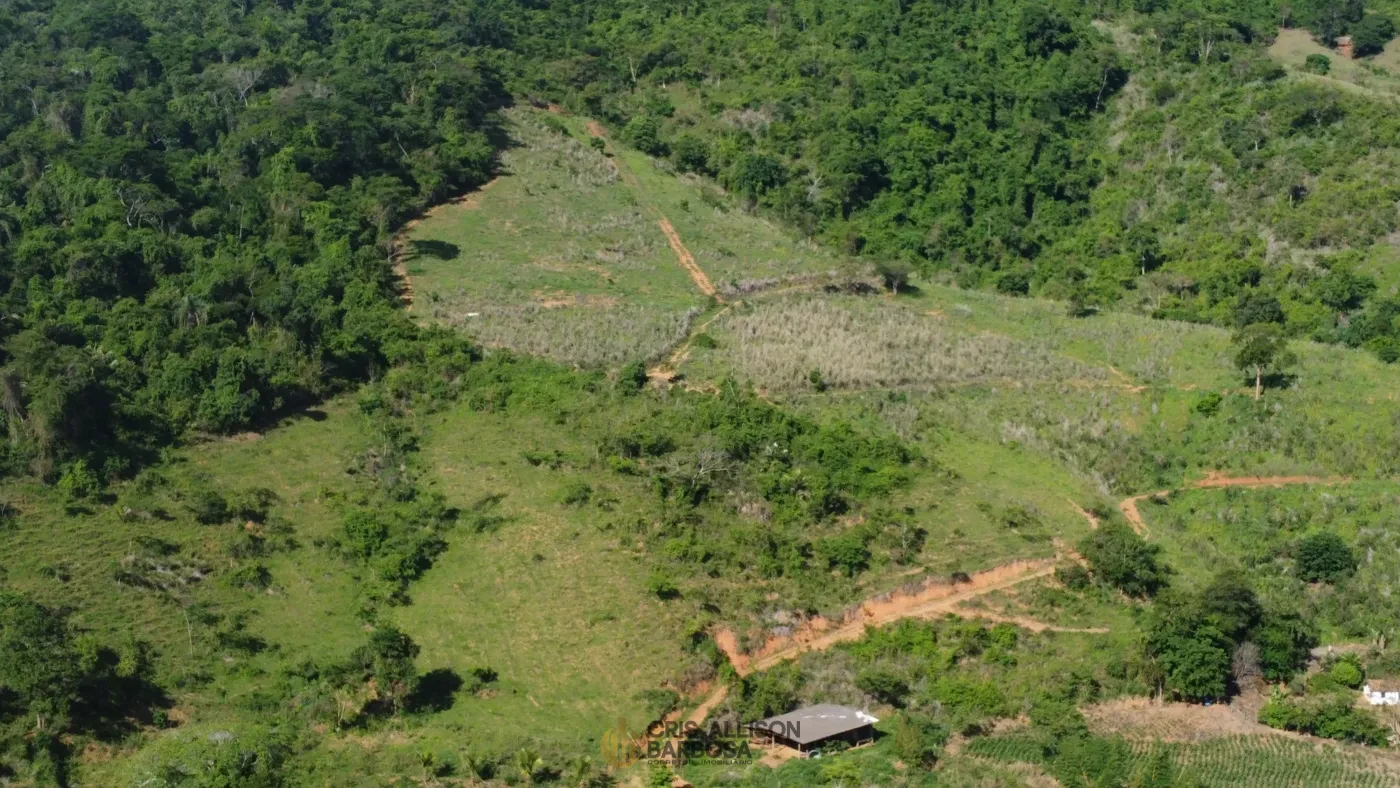 Imagem de Terreno de 06 alqueires e ½ em Inhapim – Perfeito para Expansão Rural !
