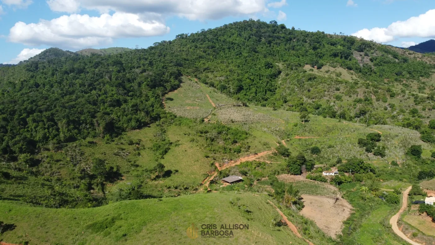 Imagem de Terreno de 06 alqueires e ½ em Inhapim – Perfeito para Expansão Rural !