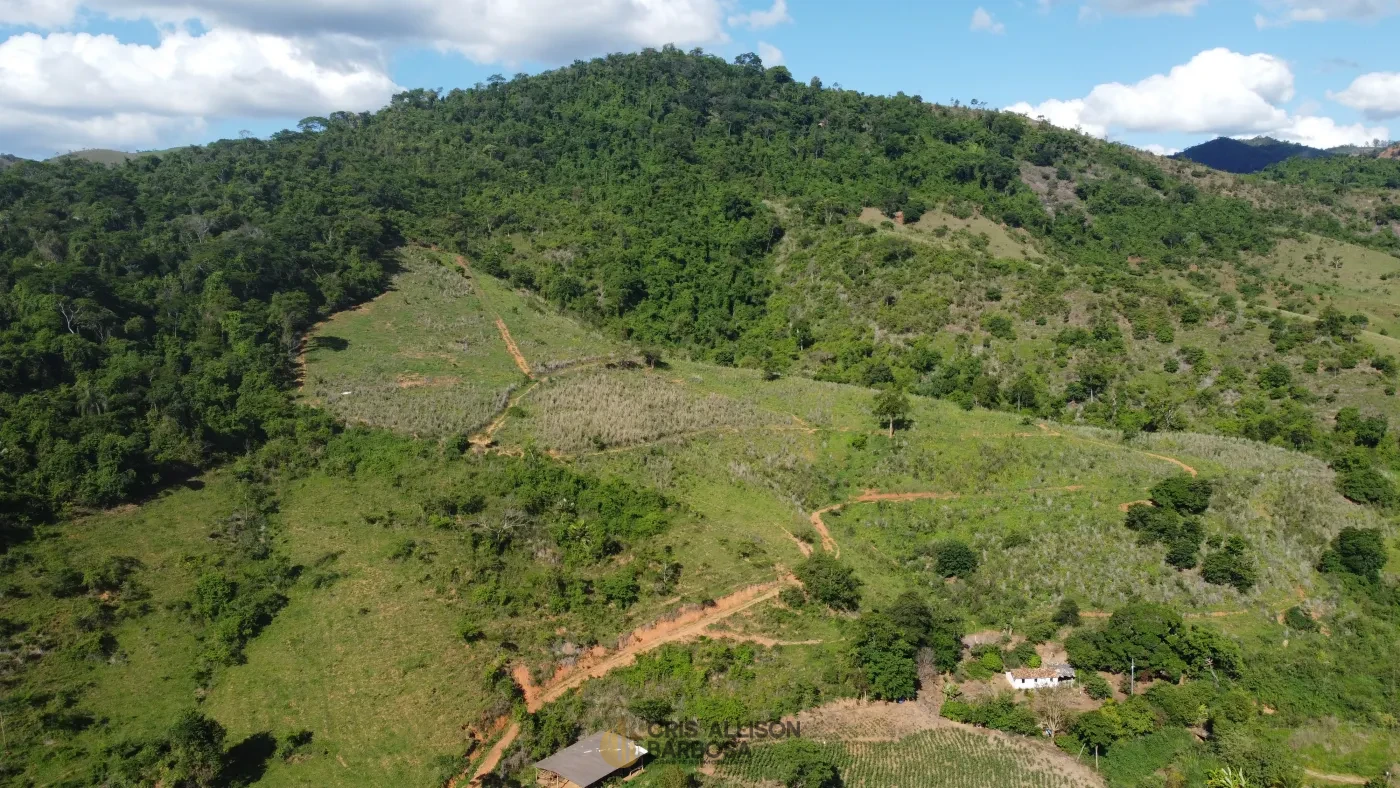 Imagem de Terreno de 06 alqueires e ½ em Inhapim – Perfeito para Expansão Rural !